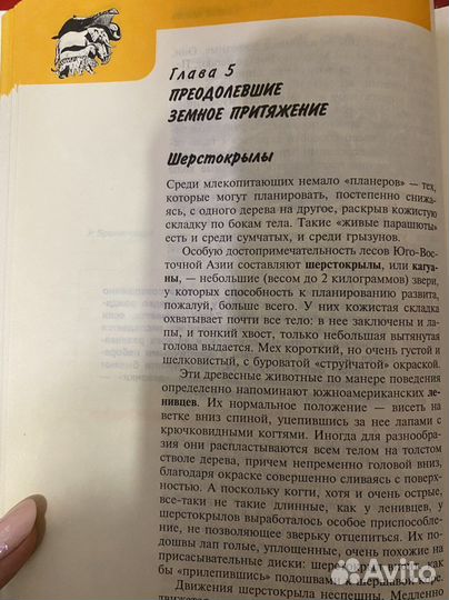 Мир вокруг нас. Детская книжка