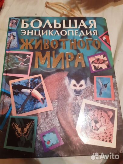 Школьная литература