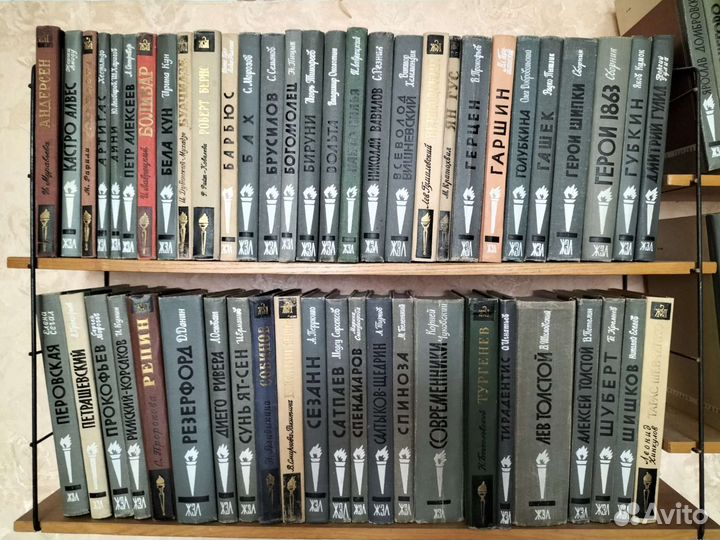 Библиотека книг жзл, 133 книги