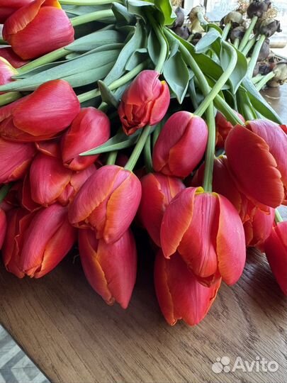 Тюльпаны к 8 марта