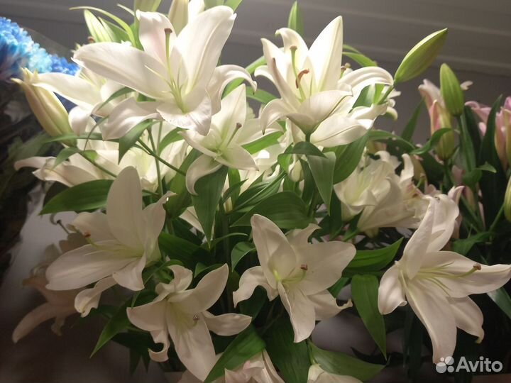 Продавец цветов в ночь