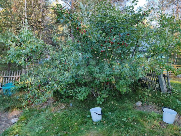 Участок 8 сот. (СНТ, ДНП)