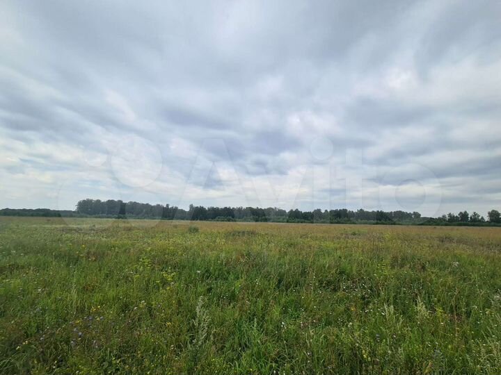 Участок 3,9 га (СНТ, ДНП)