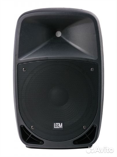 Акустическая система с 2 микрофонами