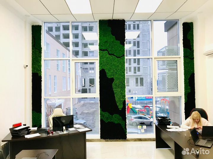 Мох стабилизированный оптом и в розницу