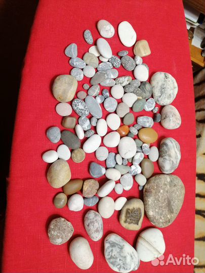 Ракушки, декоративные камушки