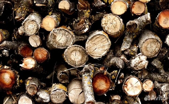 Дрова свежайшие