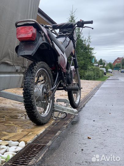 Зид Пилот 50