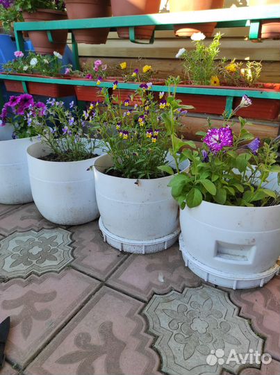 Кашпо для цветов