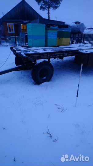 Сушь для пчел