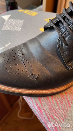 Туфли мужские Paolo Conte