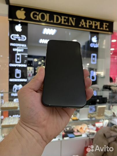 iPhone 15 Pro Max, 256 ГБ