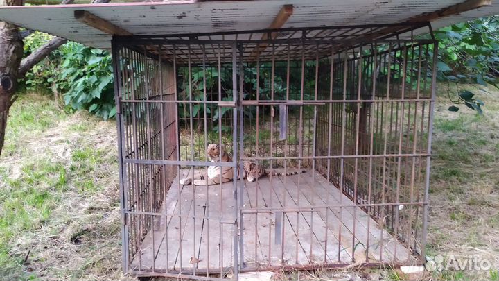 Вольер для собак уличный