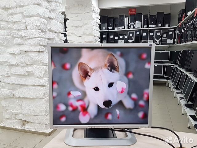 Монитор ЖК HP LP1965, экран 19