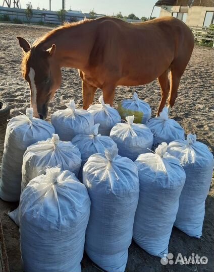 Навоз конский в мешках