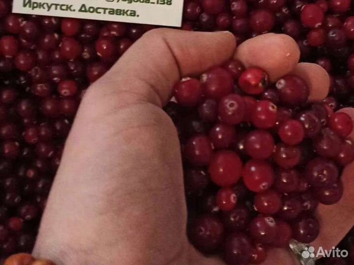 Брусника, клюква, смородина, черника, вишня, ягода