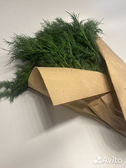 Укроп зелёный свежий