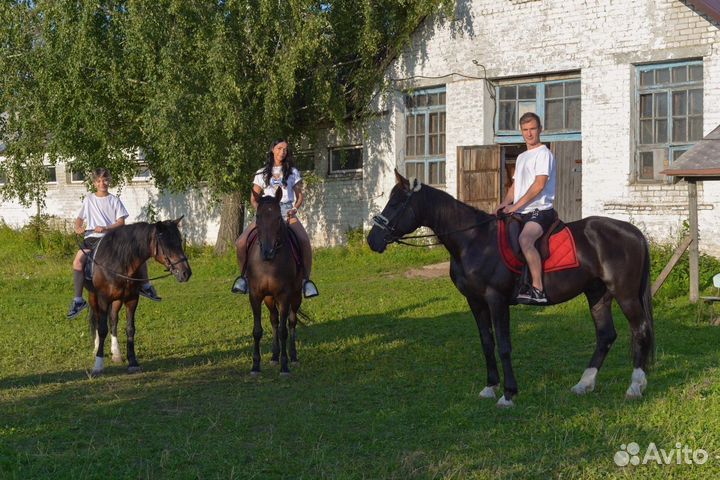 Катание на лошадях Нижний Новгород