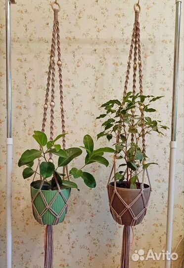 Кашпо - подвес макраме