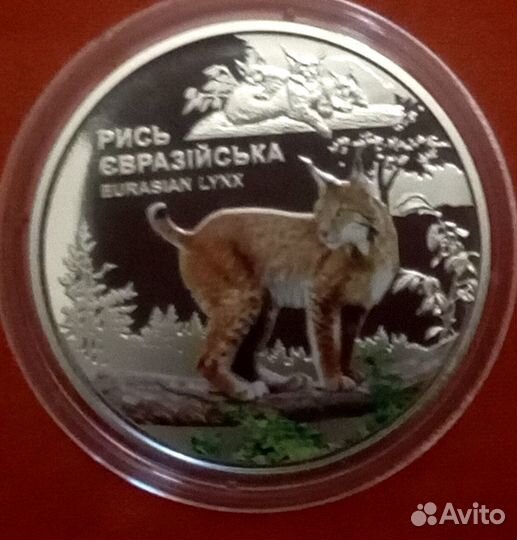 Украина 5 гривен рысь в капсуле цветная и блистер
