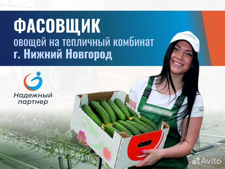 Сборщик овощей. Вахта г. Нижний Новгород