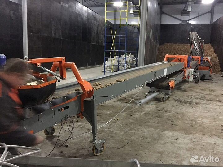 Линия сортировки овощей