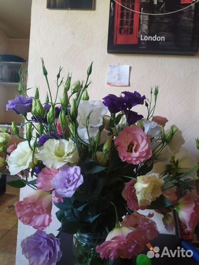 Букет срезка эустомы