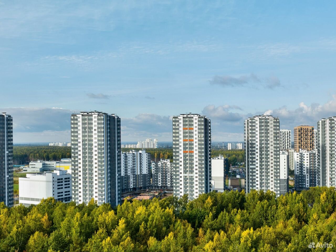 ЖК «Заповедный парк» 🏙️: цены на квартиры в Санкт-Петербурге от  застройщика ООО «ЛСР. Недвижимость-СЗ» | Новостройки | Авито