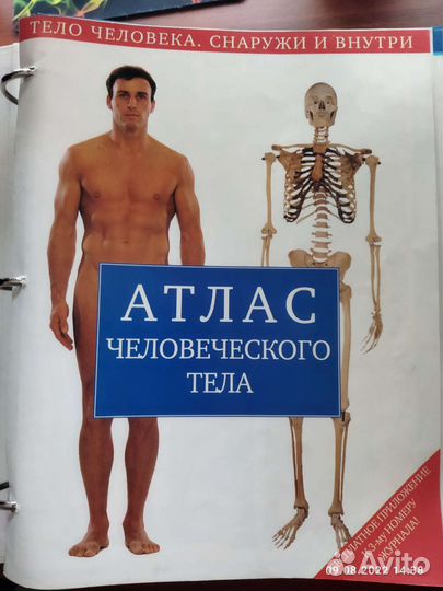 Тело человека. Снаружи и внутри