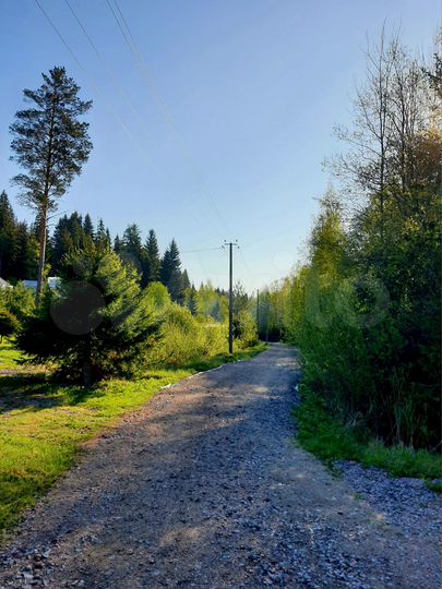 Участок 11 сот. (СНТ, ДНП)