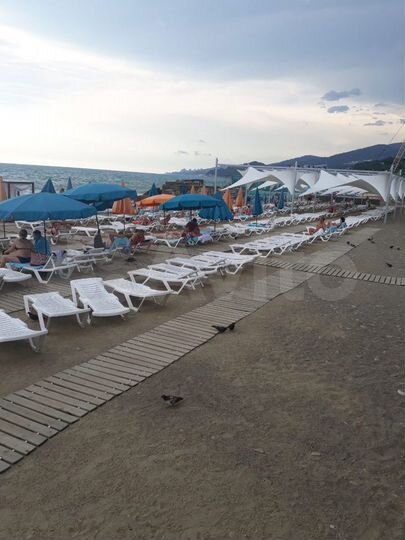 Квартира-студия, 22,2 м², 1/4 эт.