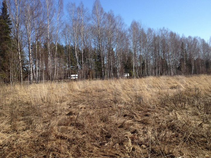 Участок 14 га (СНТ, ДНП)