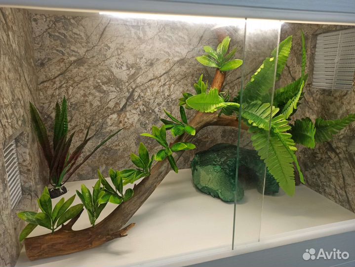 Коряги для террариума