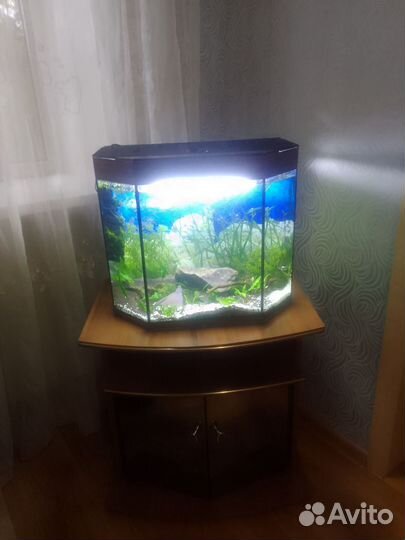 Аквариум с тумбой 70 литров