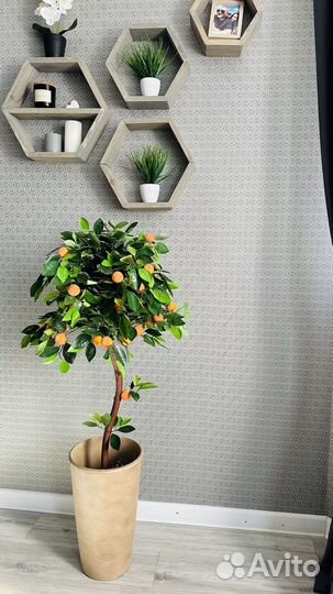 Мандариновое дерево/искусственные деревья