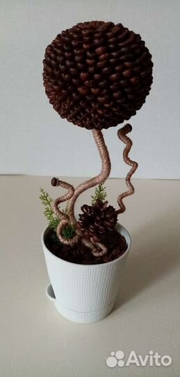Топиарий из зёрен кофе