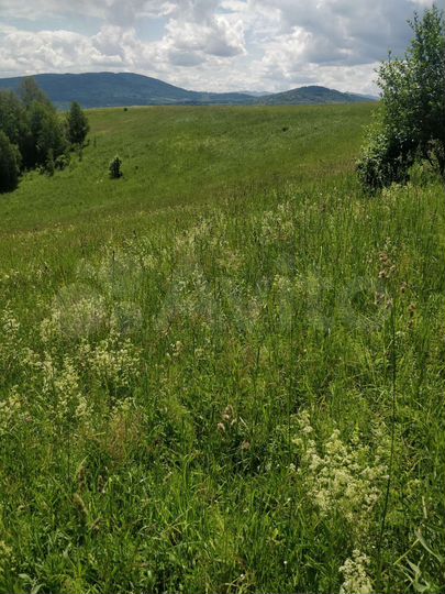 Участок 10 сот. (СНТ, ДНП)