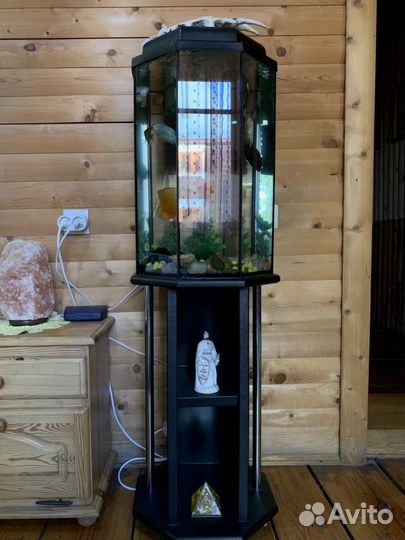 Аквариум в идеальном состоянии