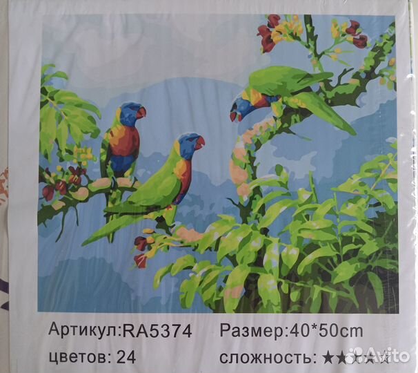 Картина по номерам новая