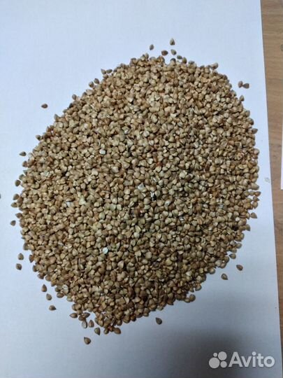 Гречка, пшено, перловка, геркулес и др. крупы