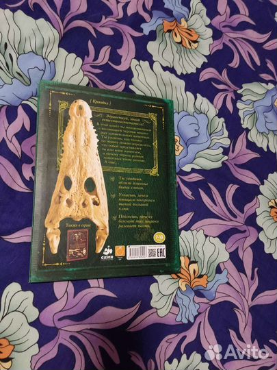 Книги детские энциклопедии динозавры, черепа