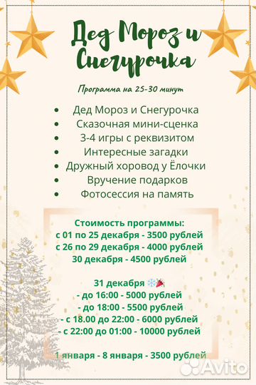 Дед Мороз и Снегурочка Красноярск на дом