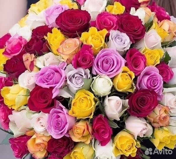 101 Роза Цветы Букеты Пионы