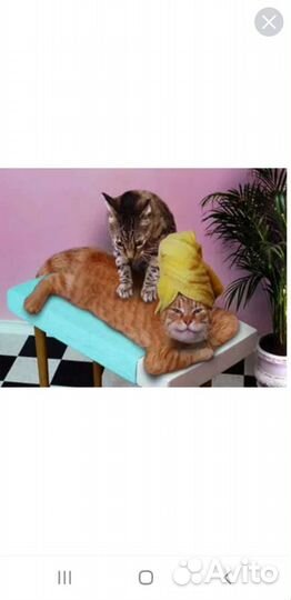 Курсы массажа