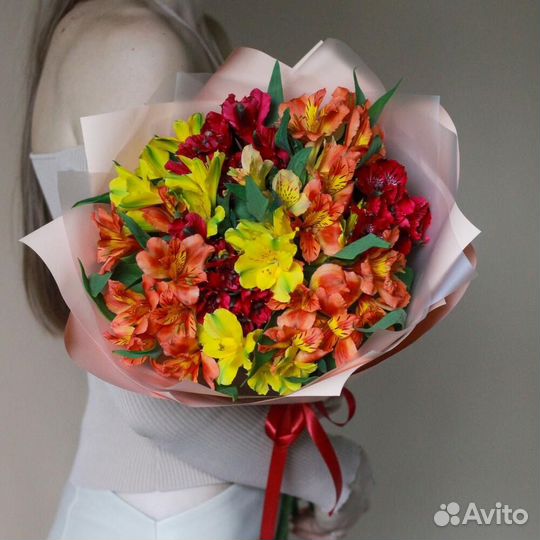 Альстромерия Альстромерии