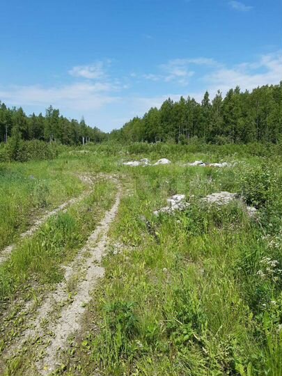 Участок 2,5 га (СНТ, ДНП)