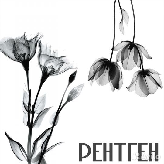 Модель на тату