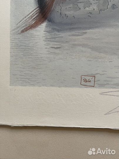 Литография Дали подписная Божественная Комедия