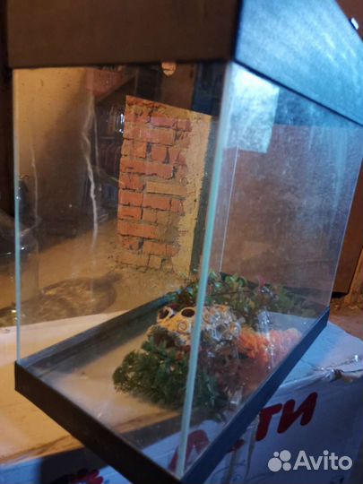 Аквариум