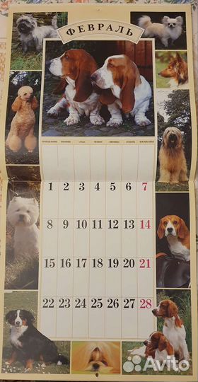 Календарь 1999 Собаки